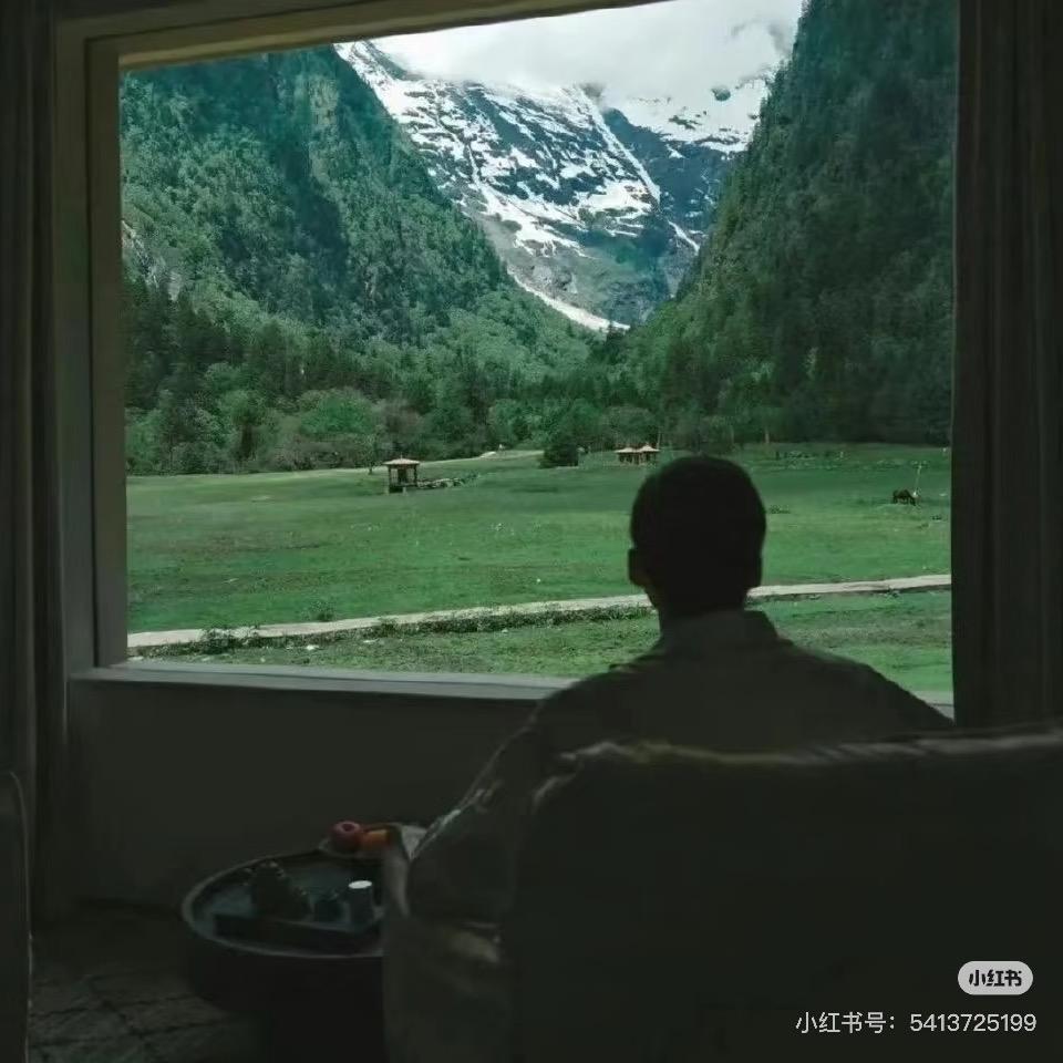 雾里看花