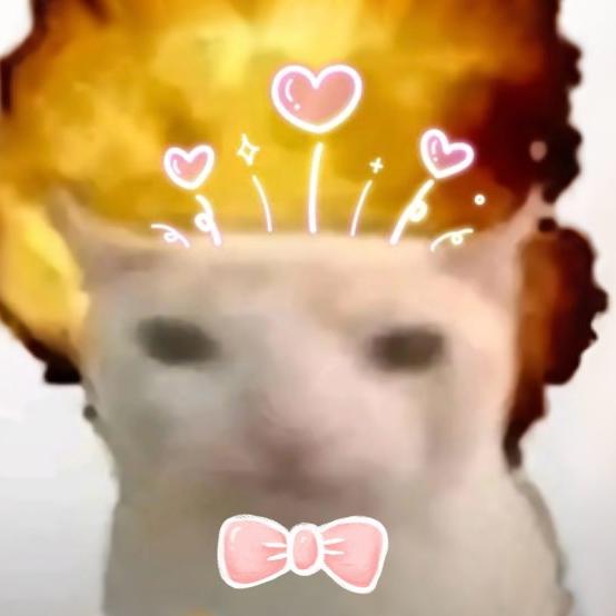 哈基meme