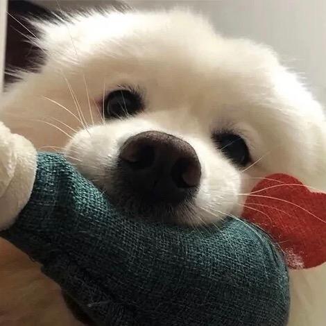 阿兆