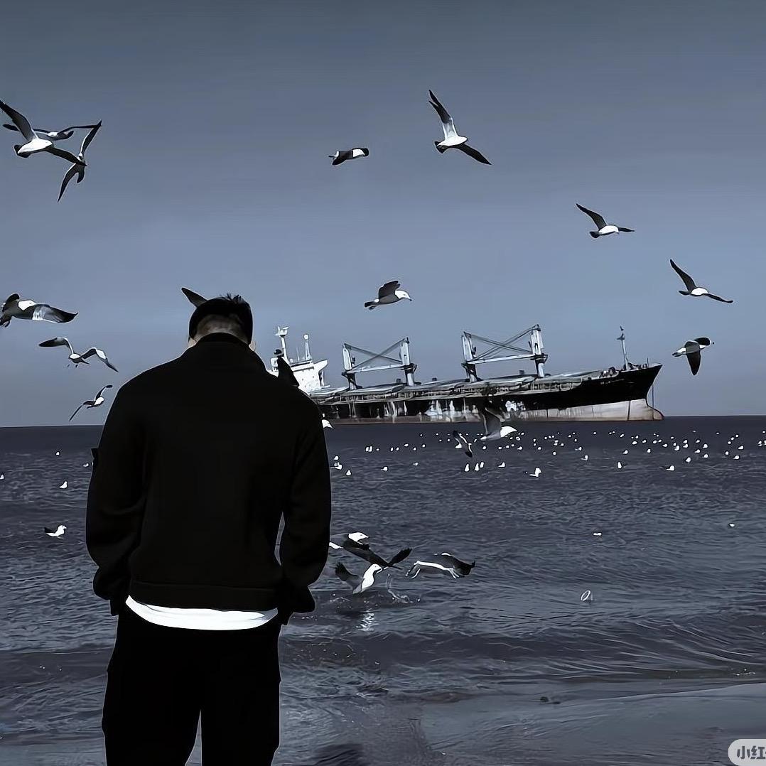 城东薇薇—大飞