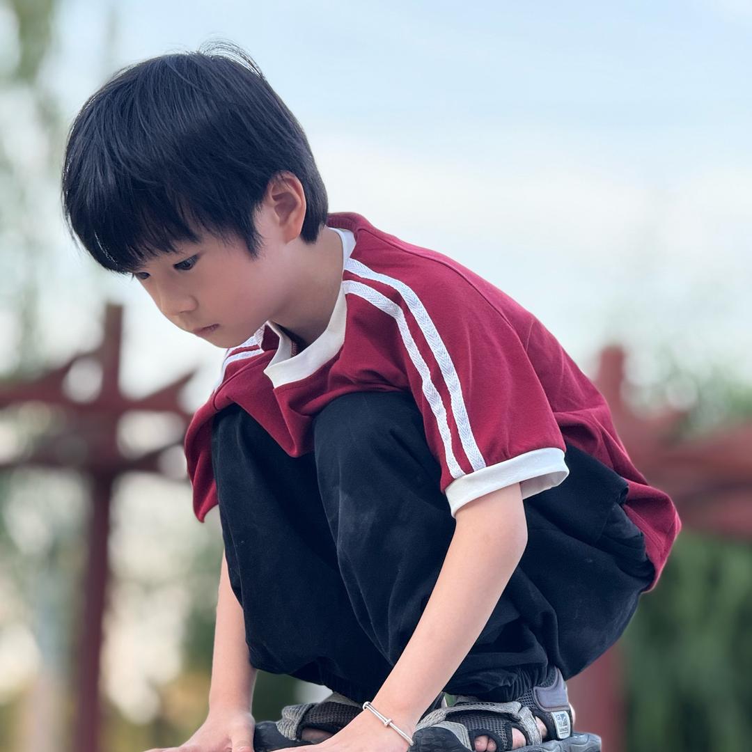 胤尘小王子