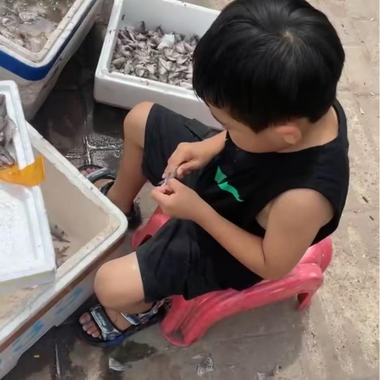 甲