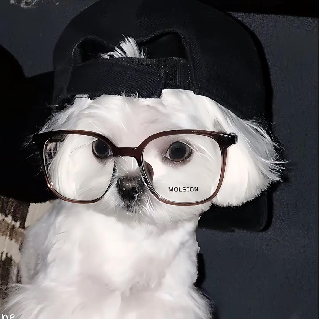 04唱片