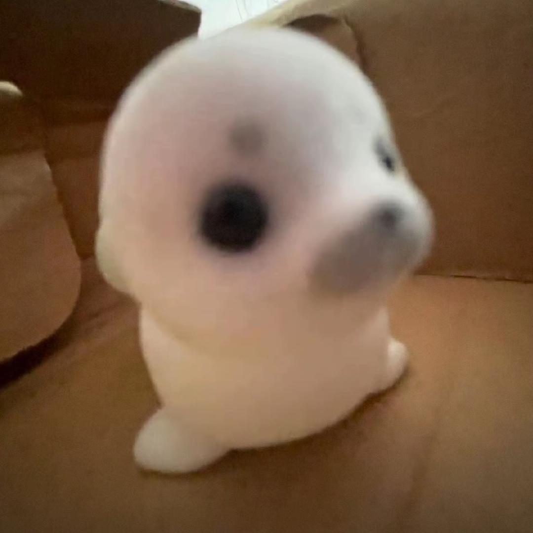 有多远滚多远