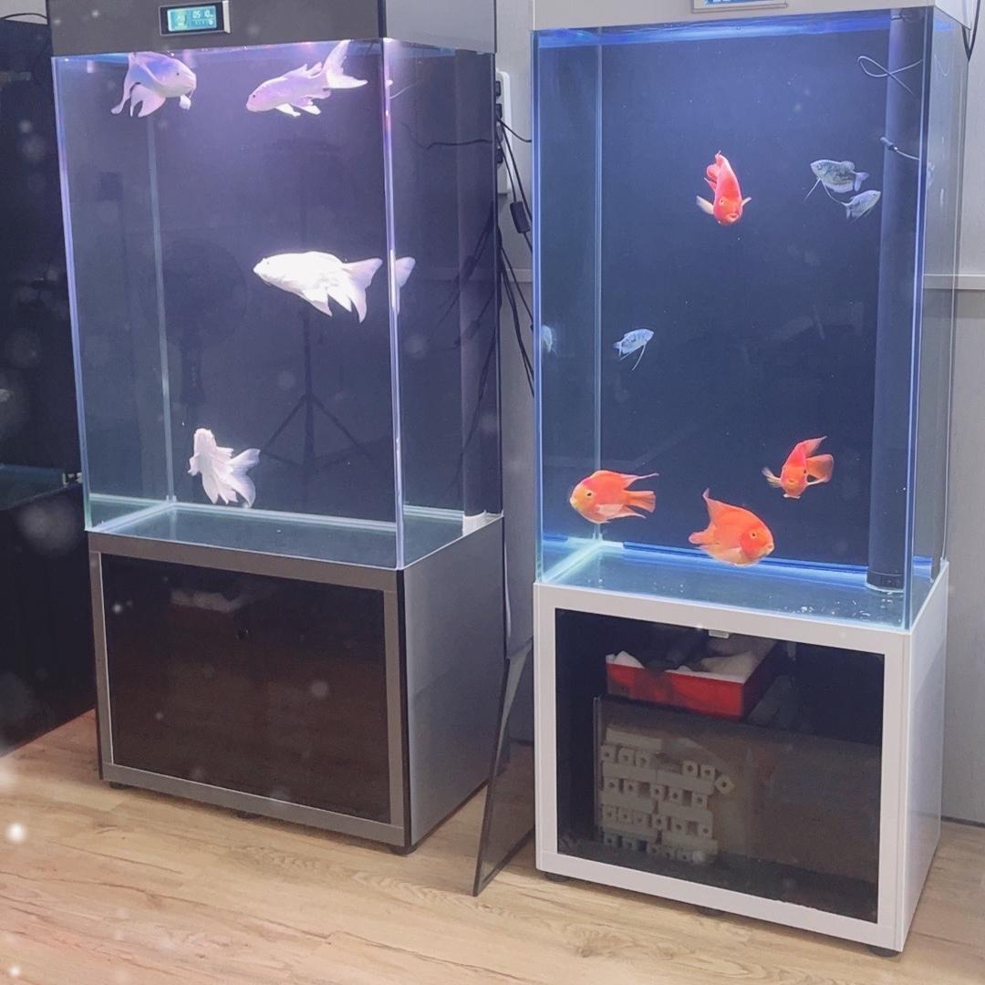 碧波鱼悦水族