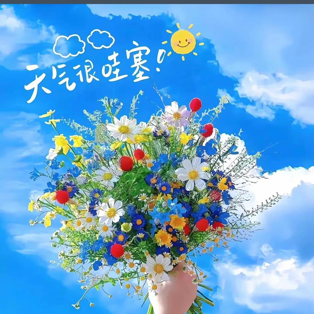 很哇塞呀😄