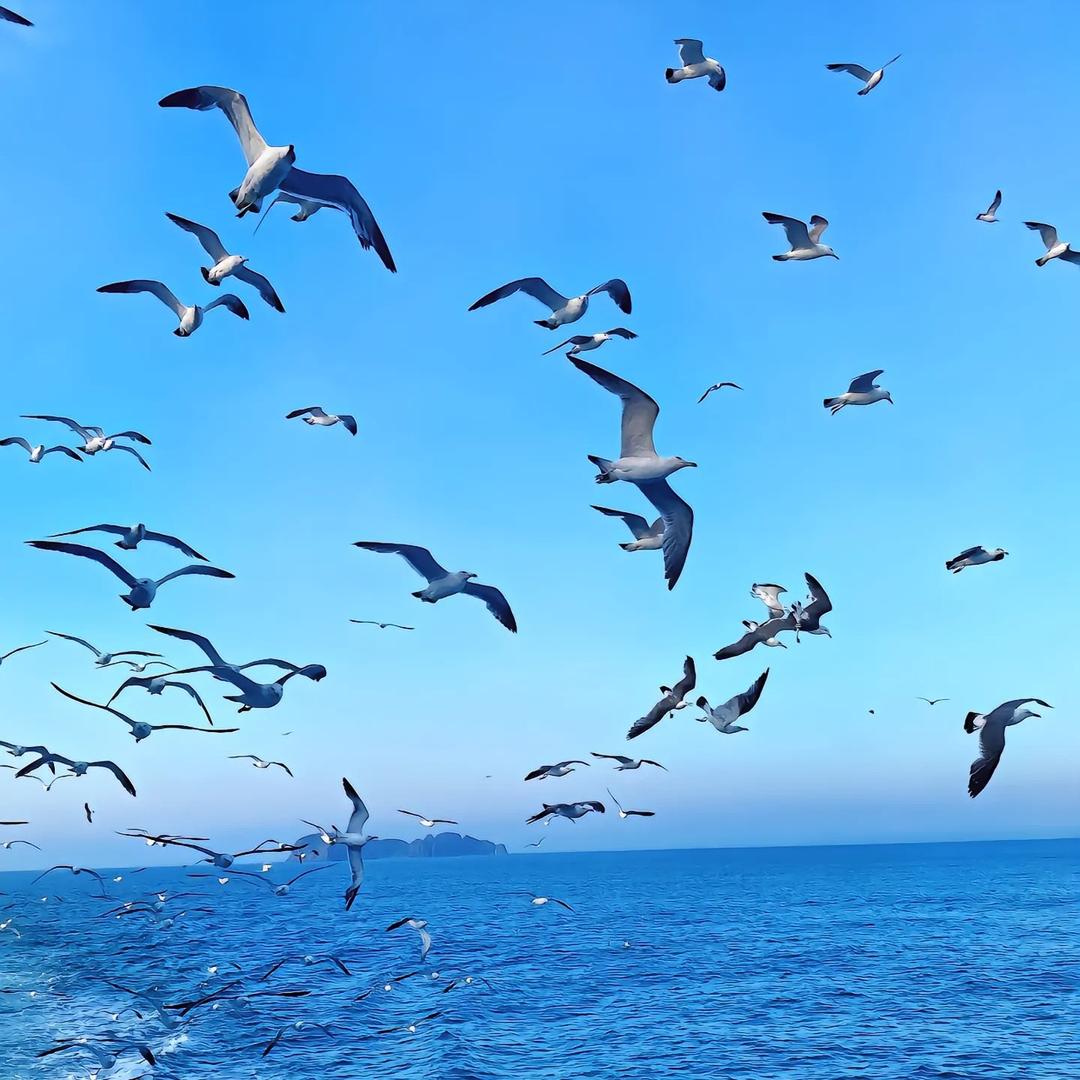 海的故事
