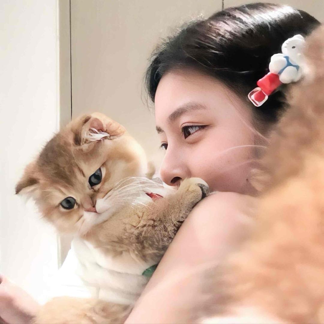 易只眠羊