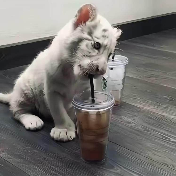 人不能总活在过去