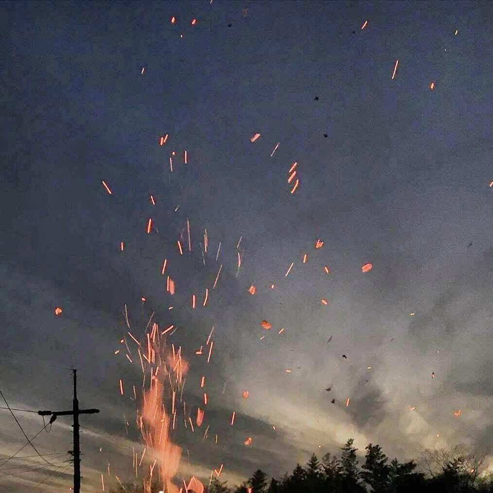 我的树洞