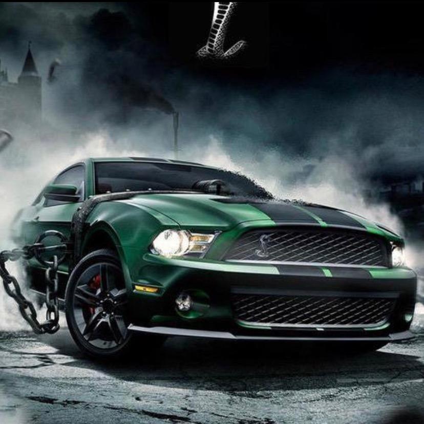 满山的猴子我腚最红🐵