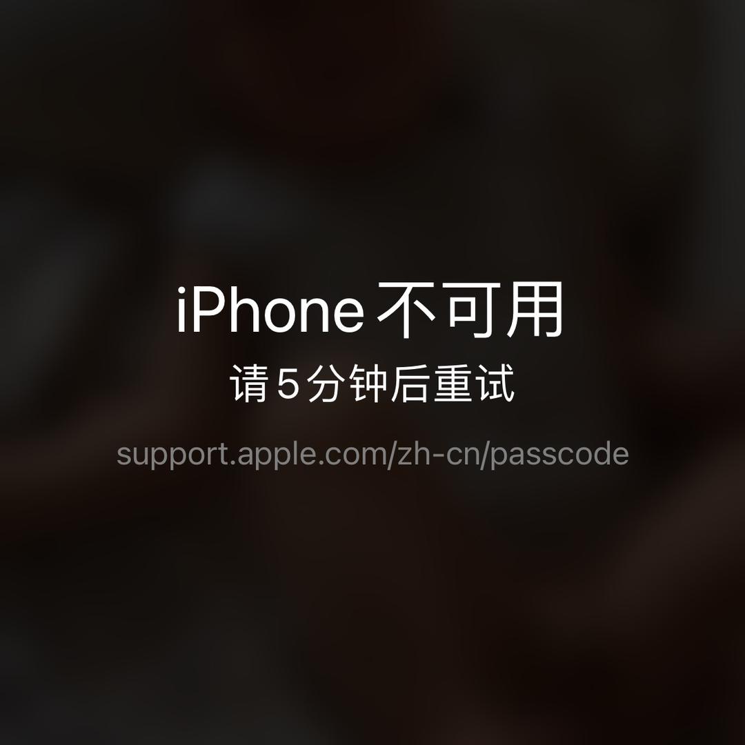 林佳树（彬彬同学）