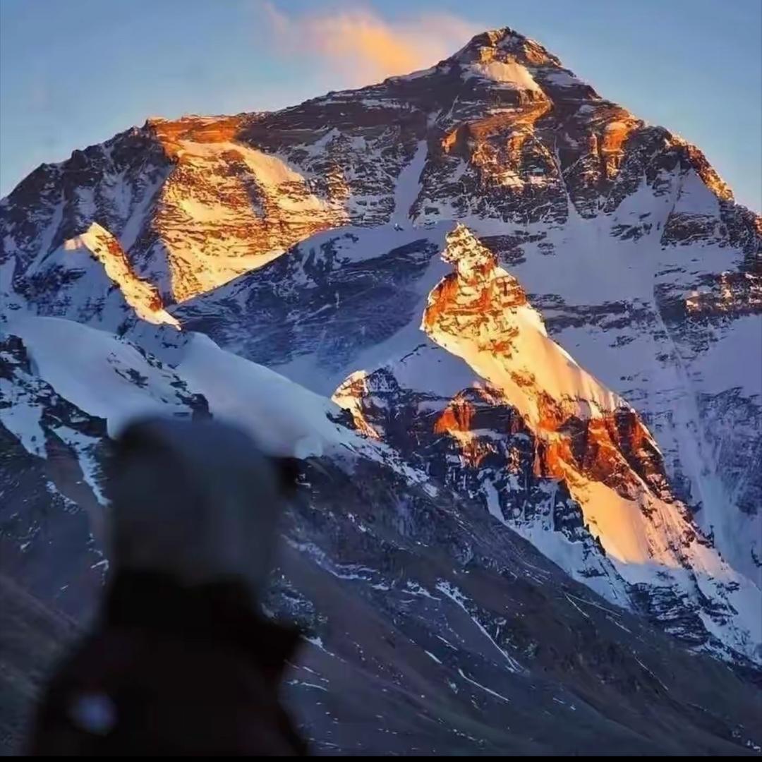 273 오래TYP（1120/久）