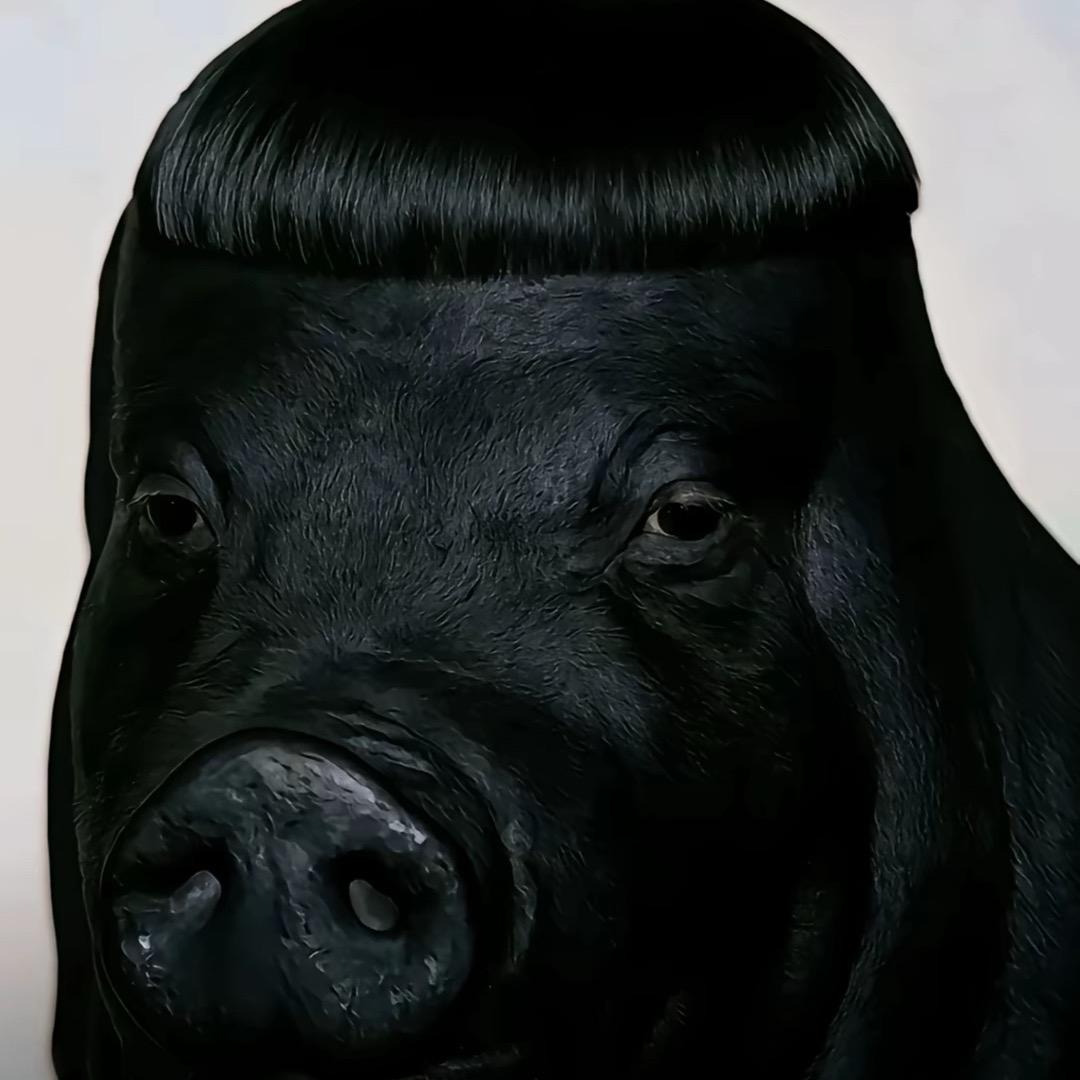 寂歌