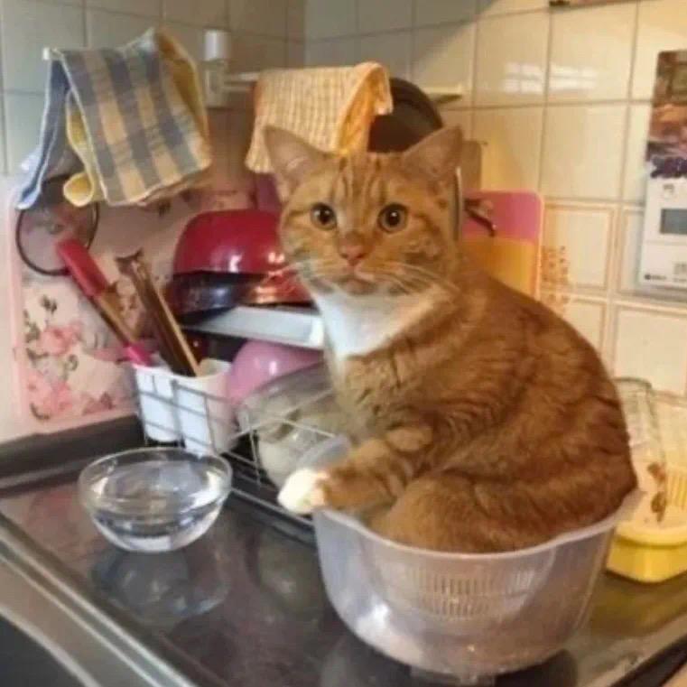 我在睡觉