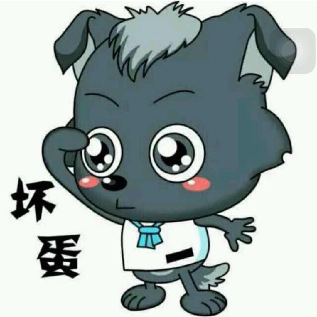 峡谷灬小灰灰（关必回）