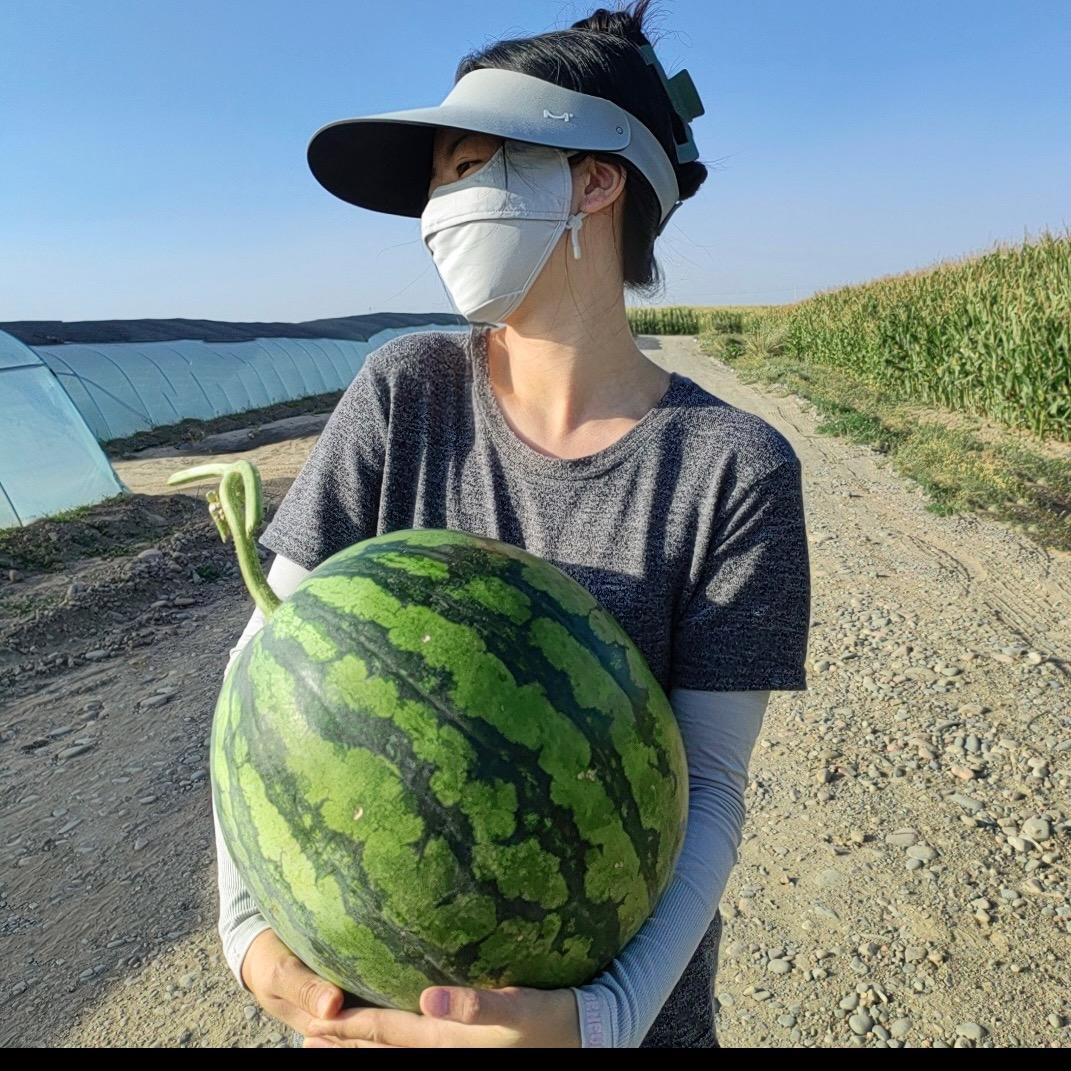 西瓜一姐
