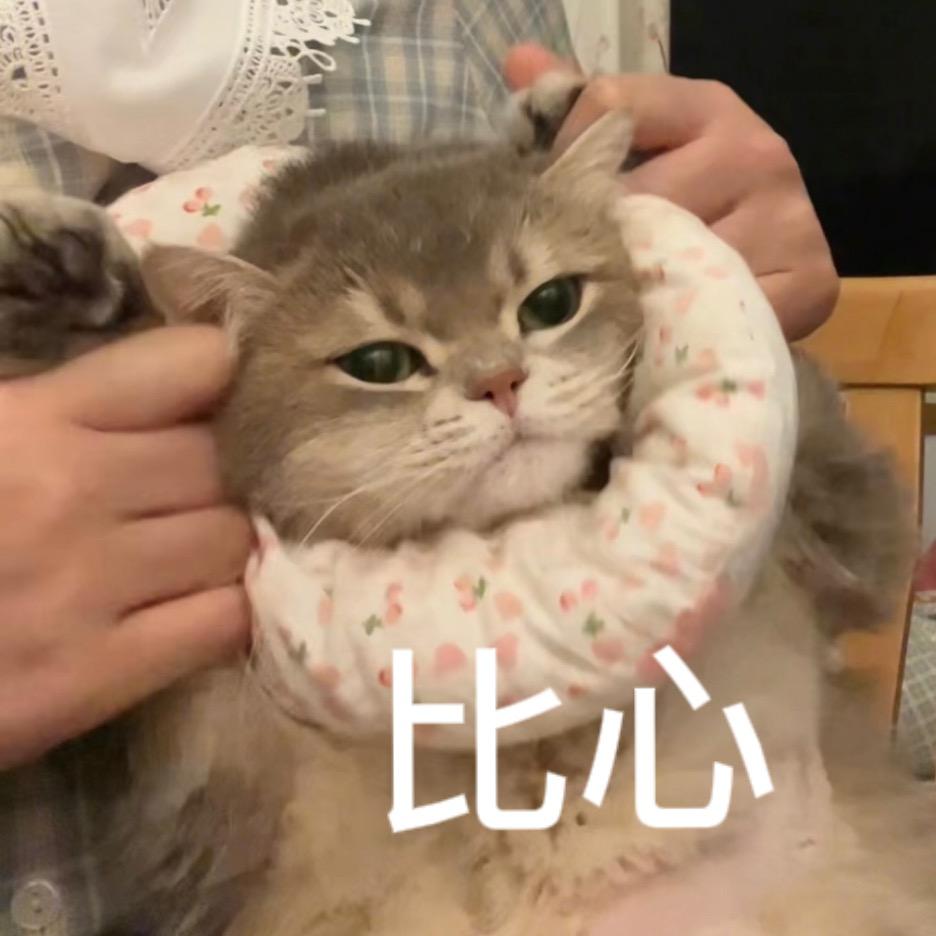 哪壶不开提哪壶