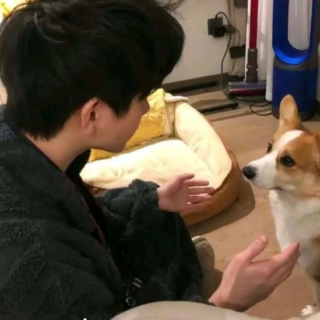 爱笑的小男孩🇨🇳