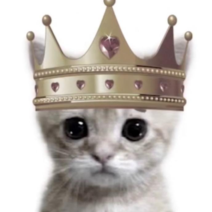 臭屁猪钱