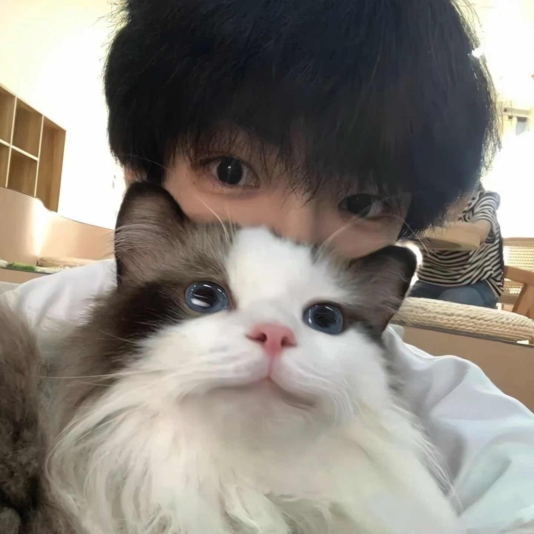 情