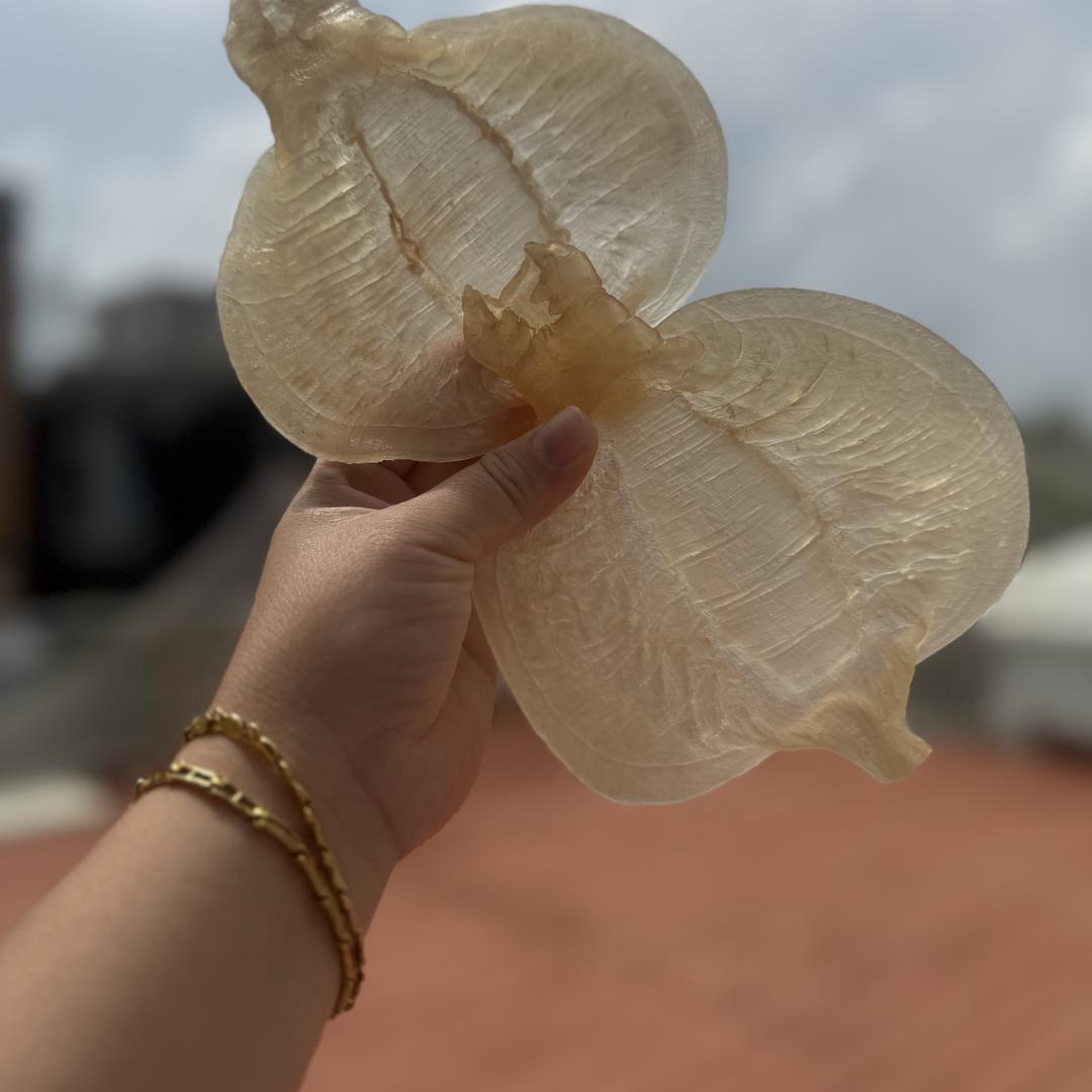 港泰花胶