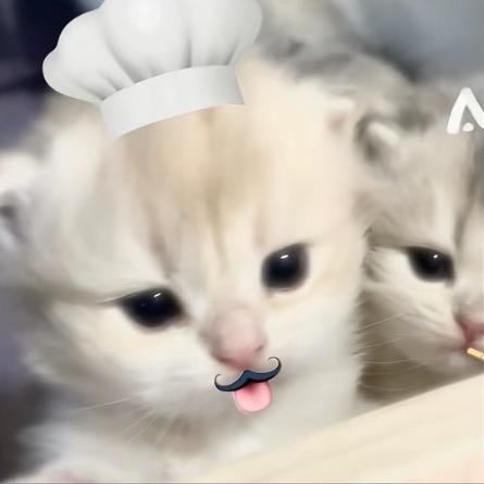 聆忆季