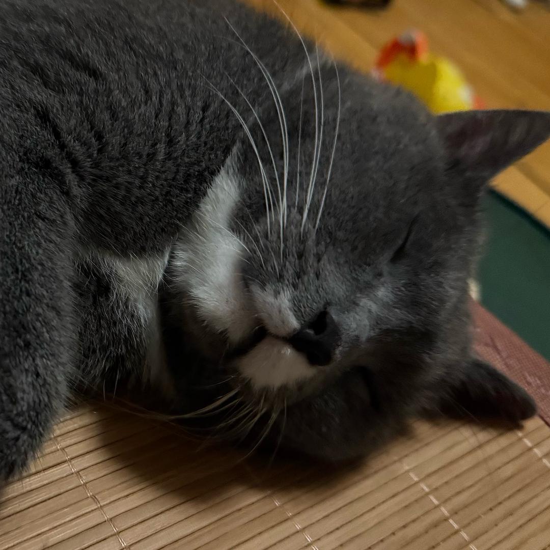 上邪