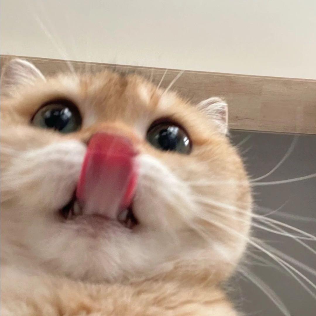 hello请问你哪位