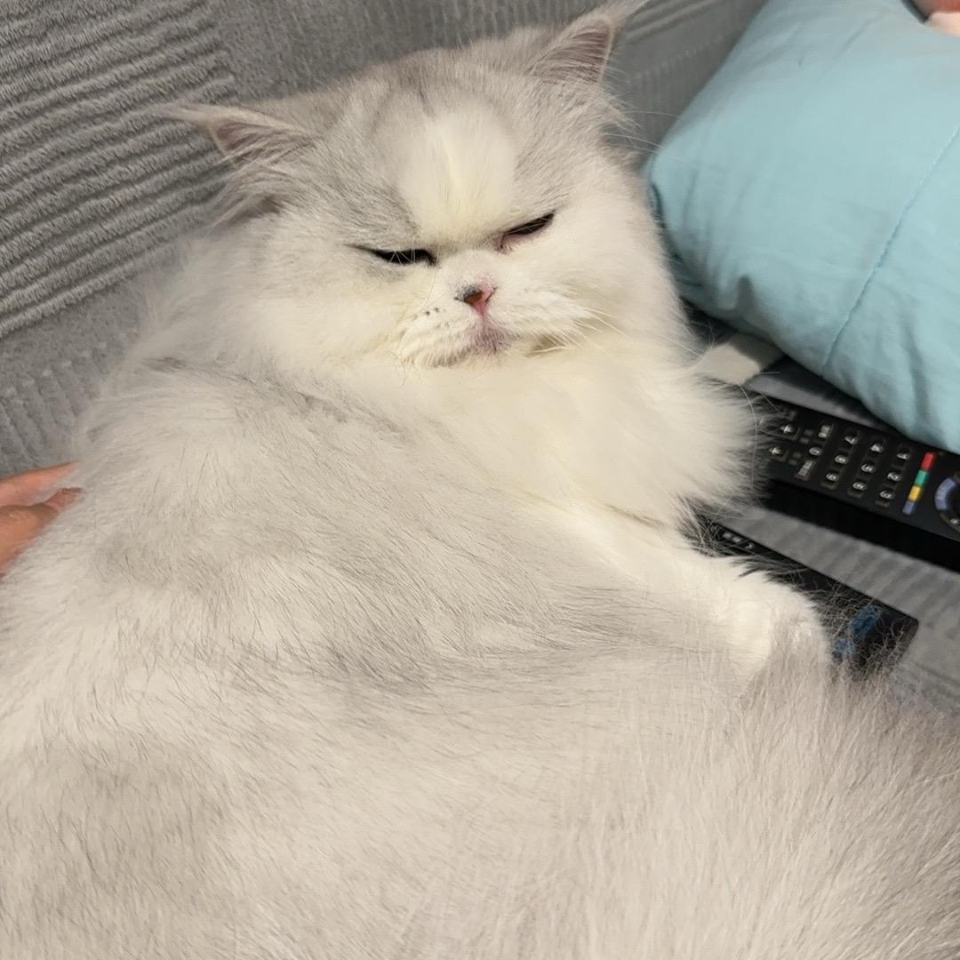 你猜我叫什么