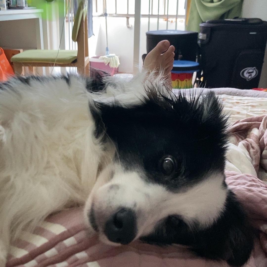 死鬼