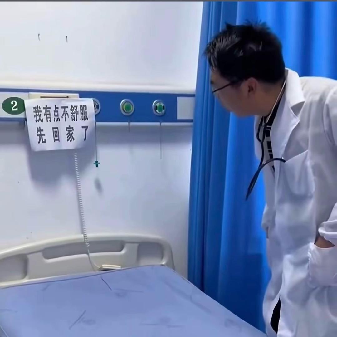让风替我去看你