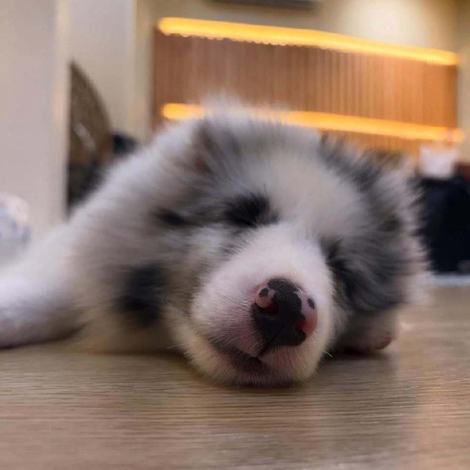 长江是泥不
