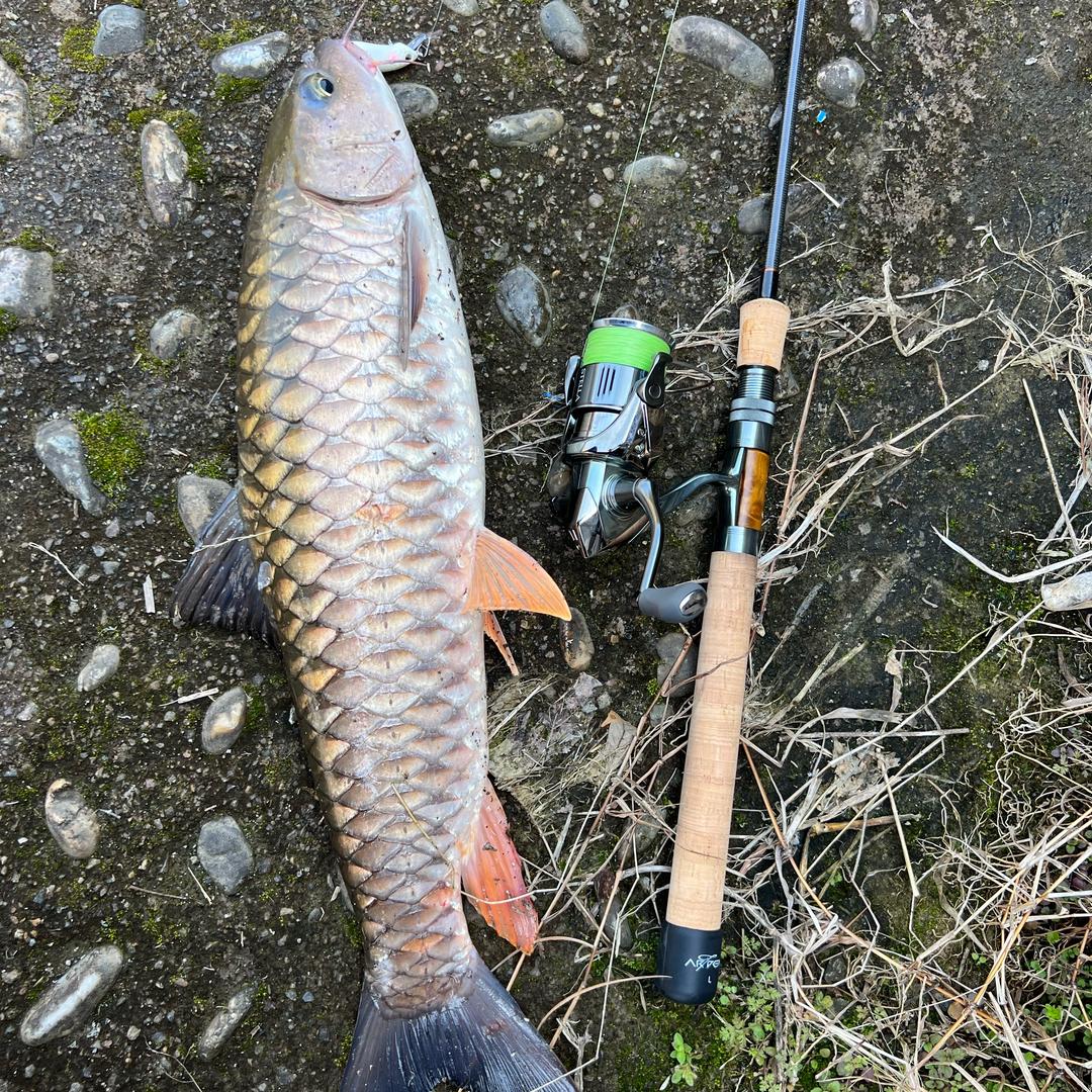 599！🎣