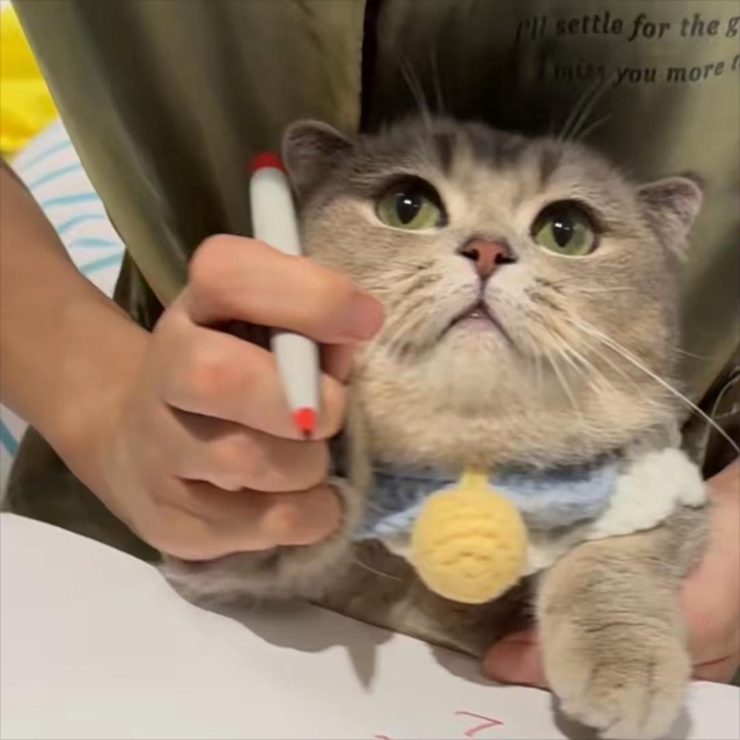 我是虫累哥