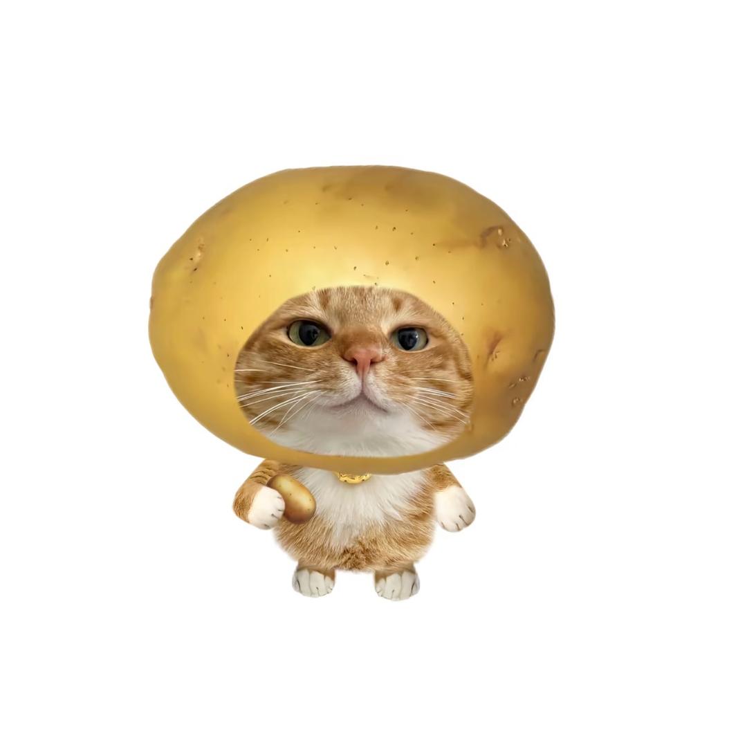 小烤鱼