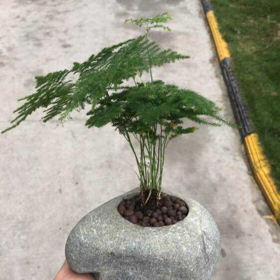 剪辑爱好者