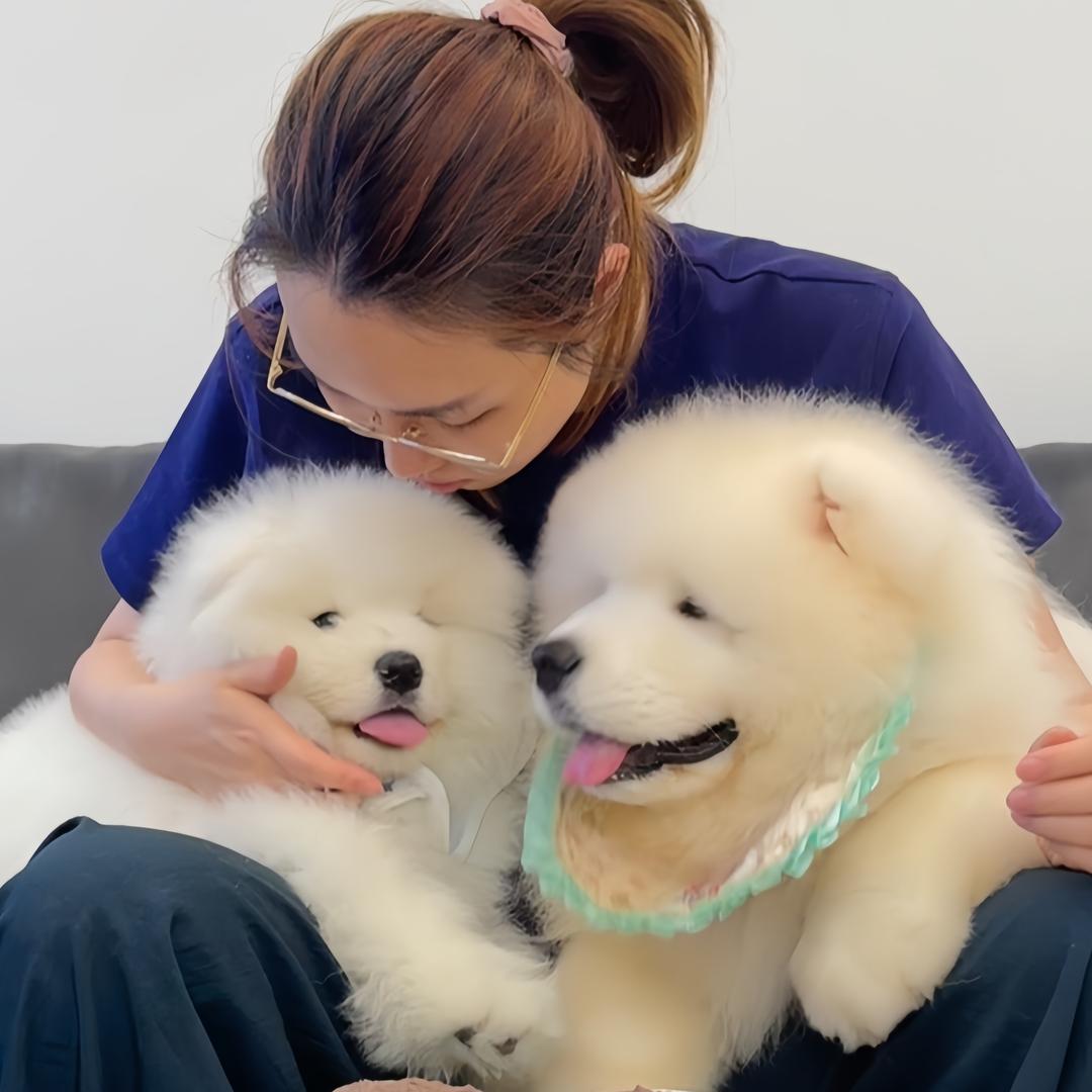 白桃乌龙耶