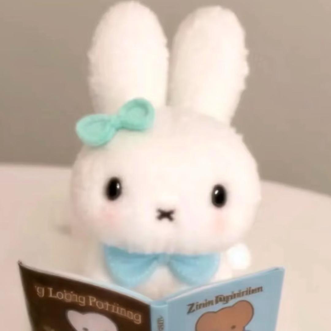🐰