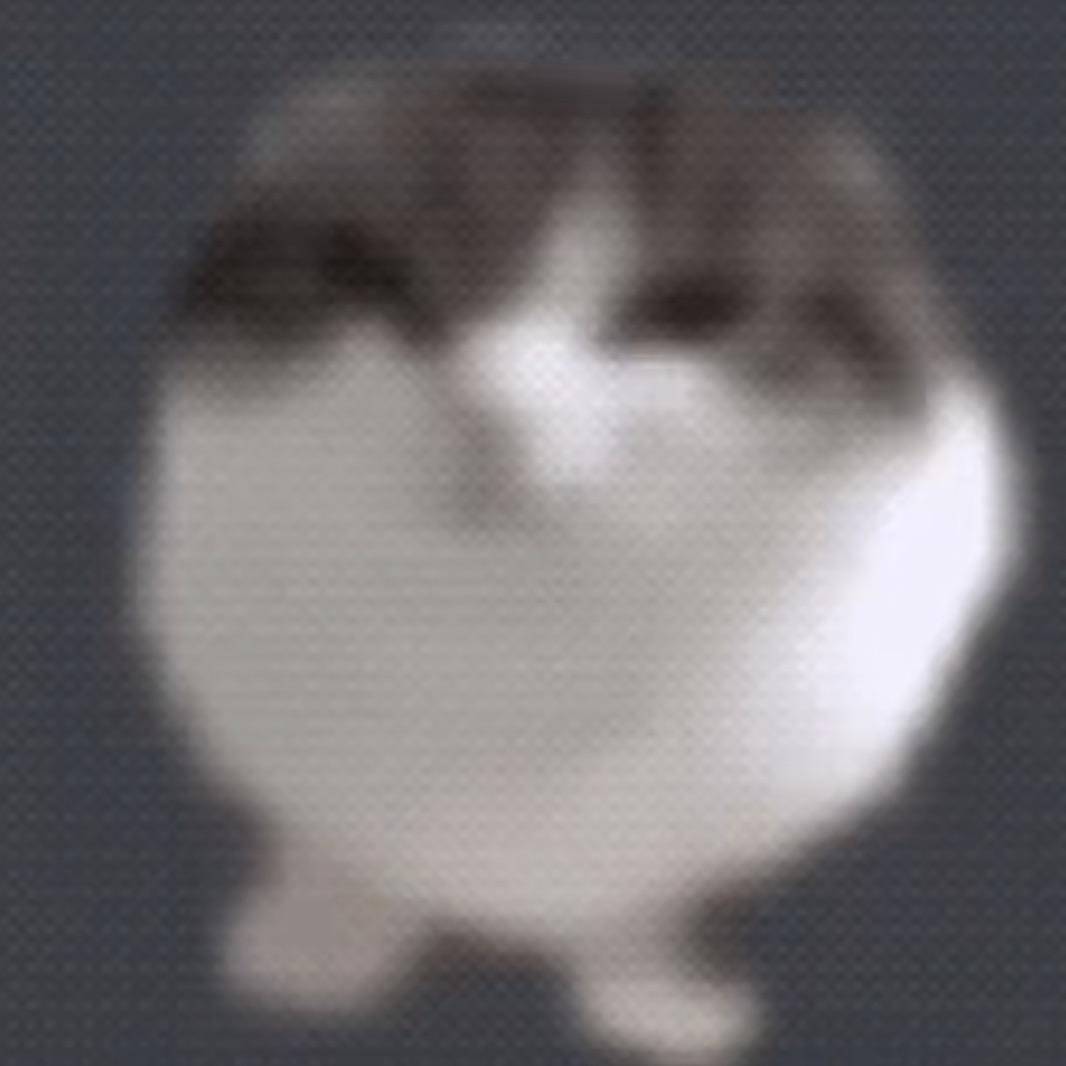 yaobunishalewoba