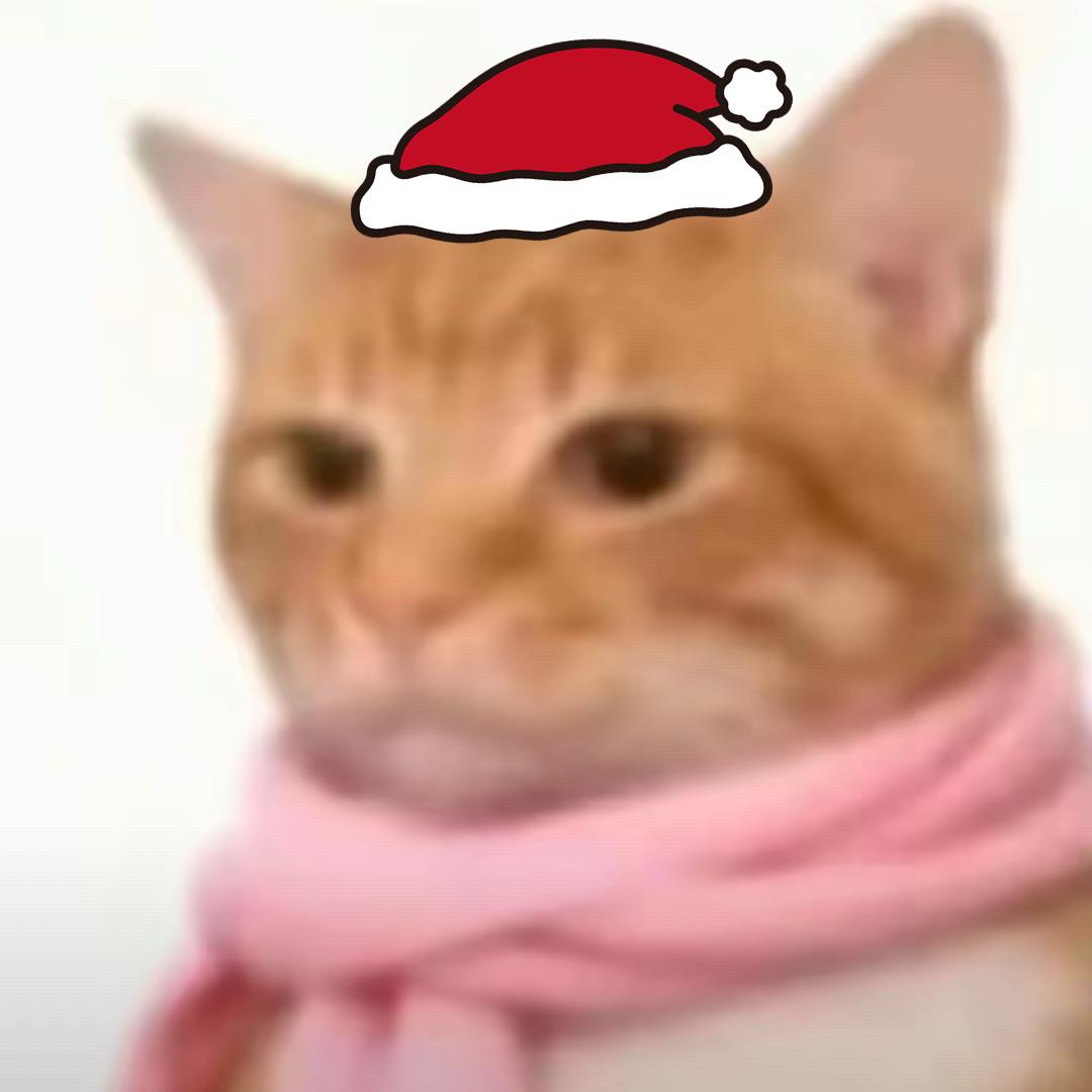 𝐂𝐮𝐧𝐘𝐢𝐢𝐢੭ﾞ