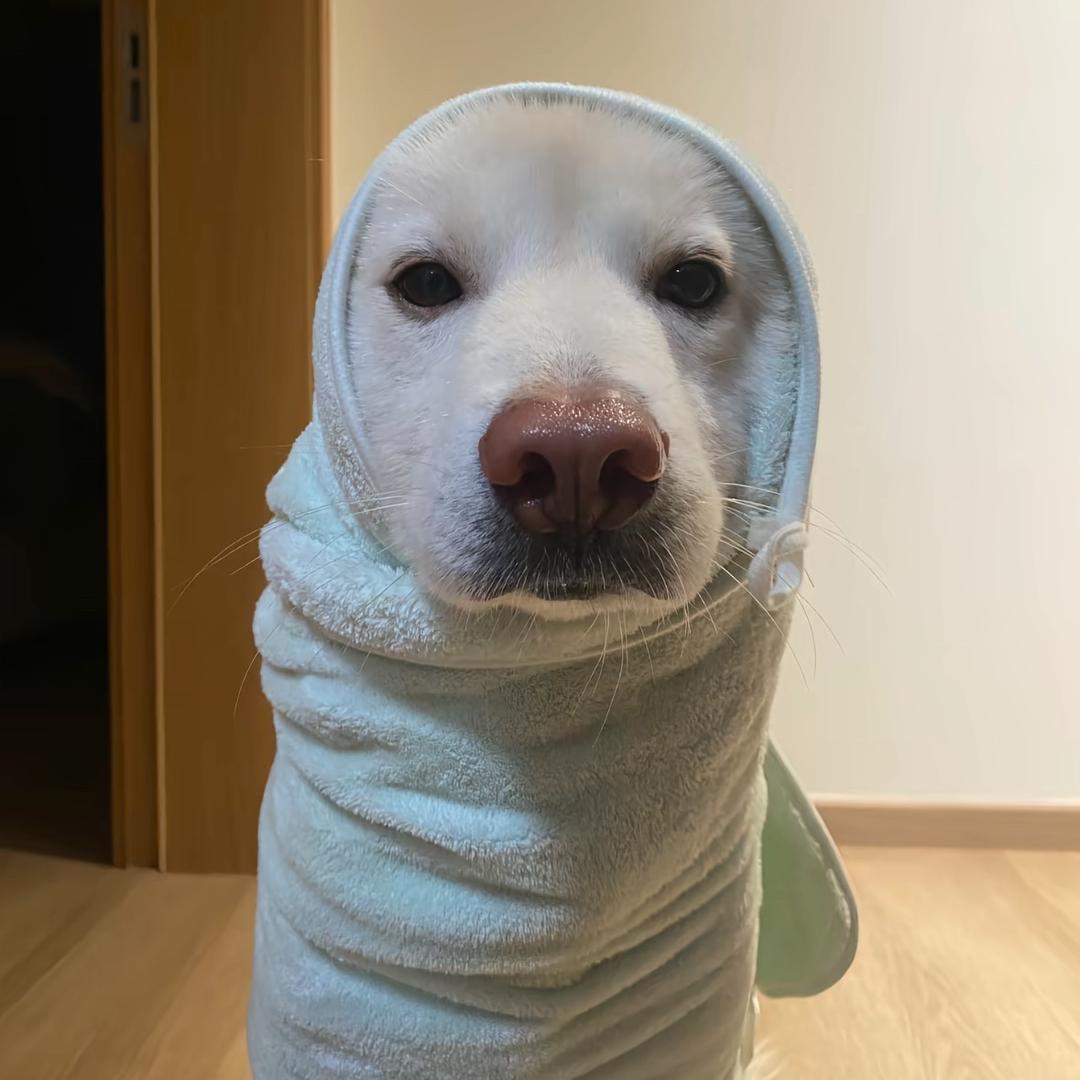 超人强^