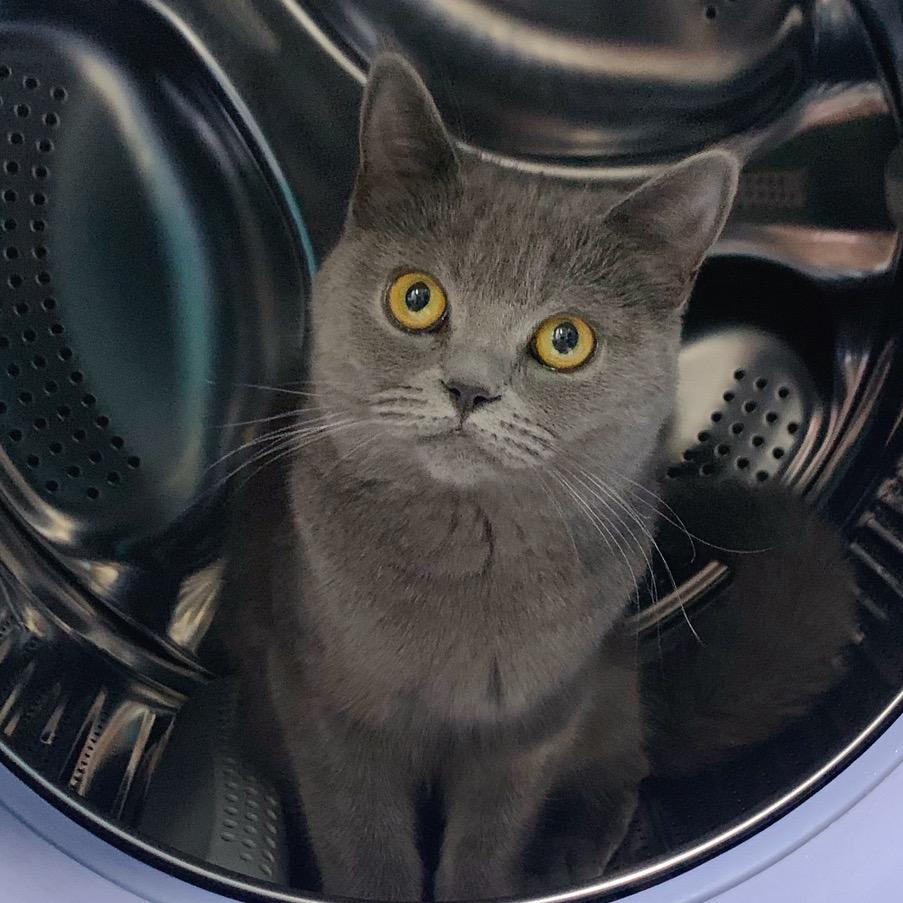 ʚ歪歪💋糖糖ɞ