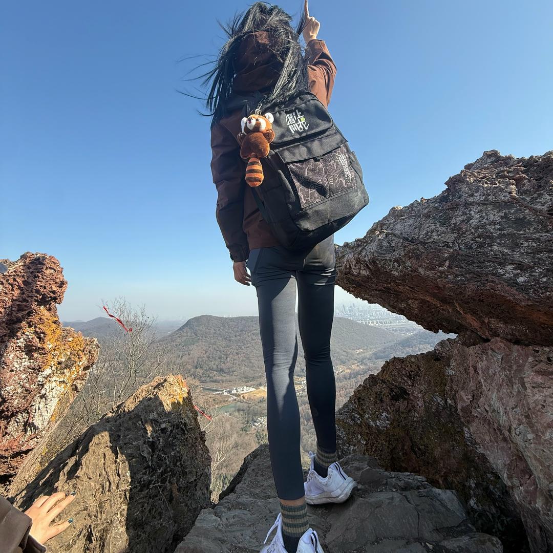 孙诺公主的比熊