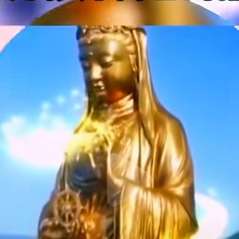 华姐&(预测）