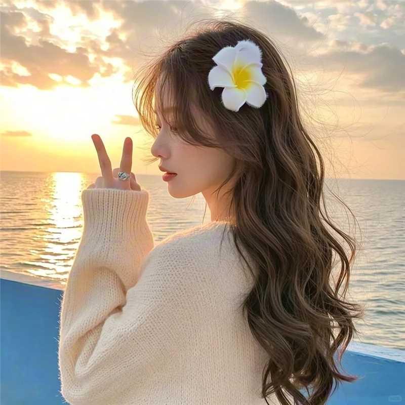 呆呆🍭（上学版）