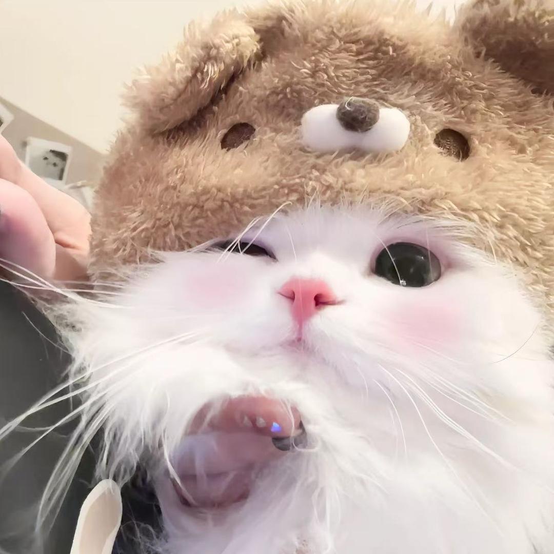 虾滑