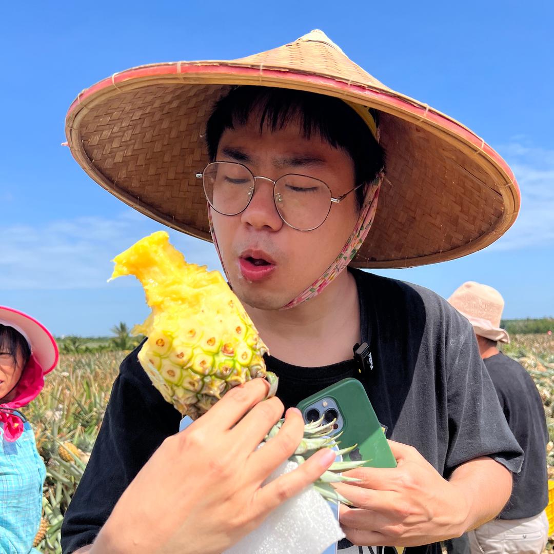 真探·大衡阳