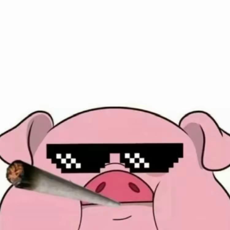 楠哥