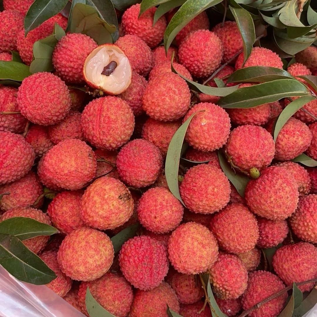 陈妈妈广东荔枝